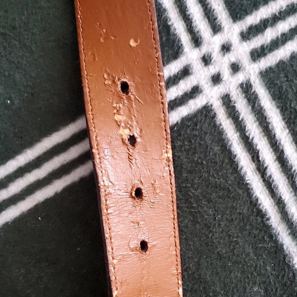 Lauren Ralph Lauren Brown Italian Leather Suede Belt with Gold Hardware main image 11